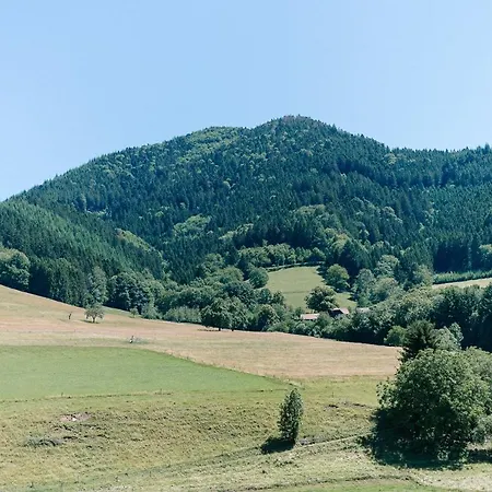 Moderne 3 Zi.-fewo Blackforestart Naehe Freiburg Simonswald