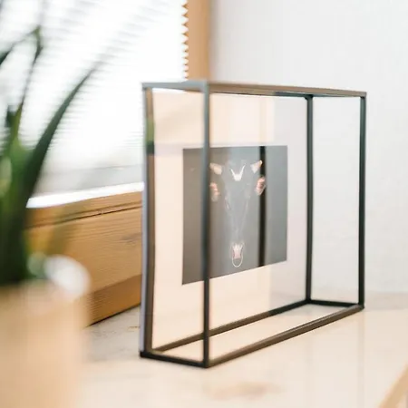 Apartment Moderne 3 Zi.-fewo Blackforestart Naehe Freiburg *