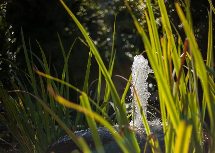 Moderne 3 Zi.-fewo Blackforestart Naehe Freiburg Lägenhet