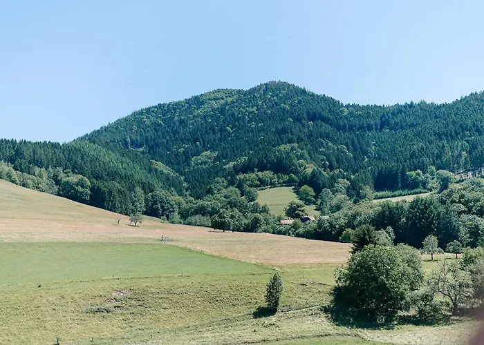 Moderne 3 Zi.-fewo Blackforestart Naehe Freiburg سيمونسوالد